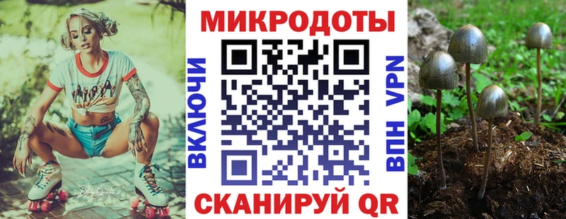 Псилоцибиновые грибы GOLDEN TEACHER  Курчалой 
