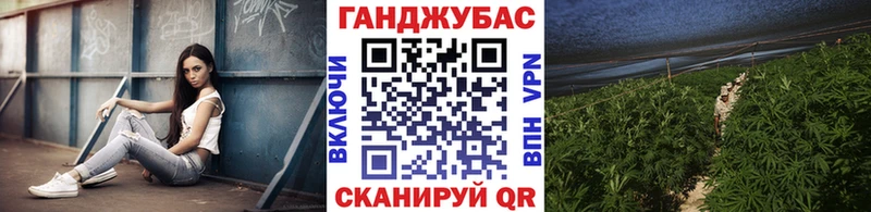 Каннабис Amnesia  Курчалой 